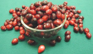 cranberries in (and out of) bowl
