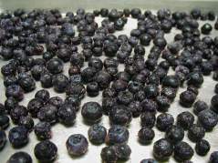 Fresh blueberries laid out in single layer on a tray
