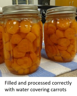 Home canned carrots in jars with water covering the carrots