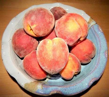 Peach Season Has Arrived